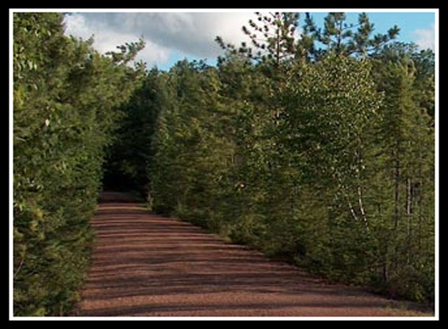 Bearskin State Trail